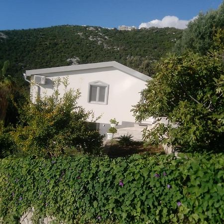Blue Horizon Apartment Dobra Voda Exterior photo